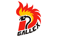 gallex